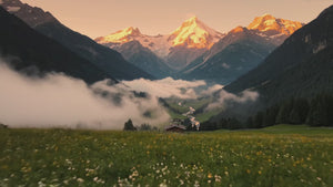 “Above the Trees – 8K Cinematic Forest Wallpaper | Ultra-Realistic Misty Canopy Nature Art | Instant Digital Download”